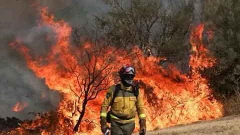 Espanha declara estado de emergência após incêndios florestais destruírem mais de 100 mil hectares.