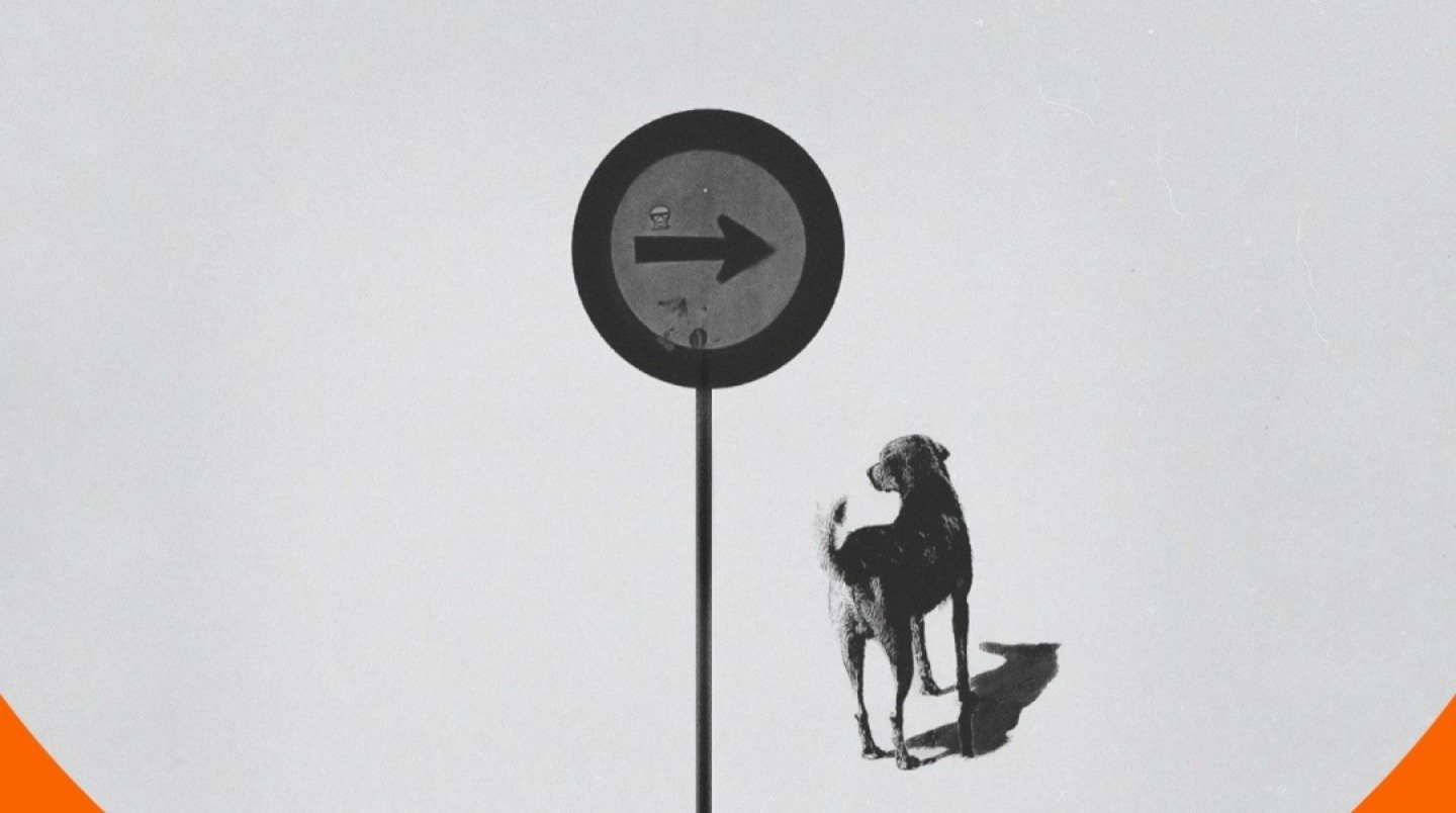 Exposição "Tardes, passos e canções", de Thiago dos Reis