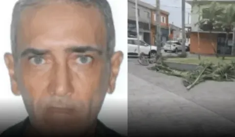 Homem que morreu após ser atingido por árvore durante ventania em Santos é identificado.