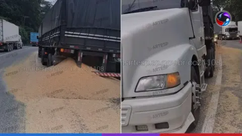 Caminhão bate em carreta e espalha carga de soja na Anchieta, em Cubatão.