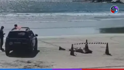 Motorista de aplicativo de São Paulo desaparece e é encontrado sem vida em praia do Guarujá.