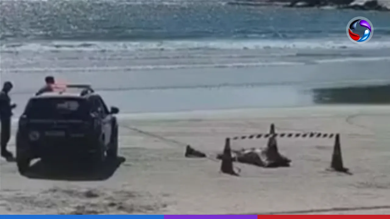 Motorista de aplicativo de São Paulo desaparece e é encontrado sem vida em praia do Guarujá.
