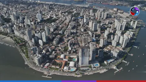Novos prédios de Santos terão que doar uma muda de Árvore por apartamento.