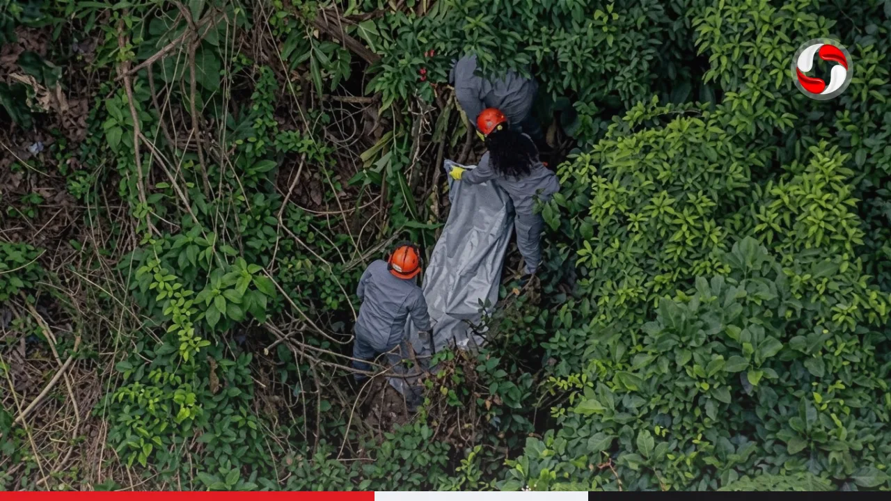 Polícia investiga 19 corpos encontrados na Grande SP e descarta ação de serial killer