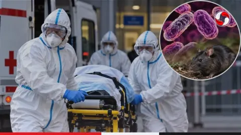 Rússia coloca dezenas de pessoas em isolamento após morte de técnica em instituto que pesquisa peste bubônica.