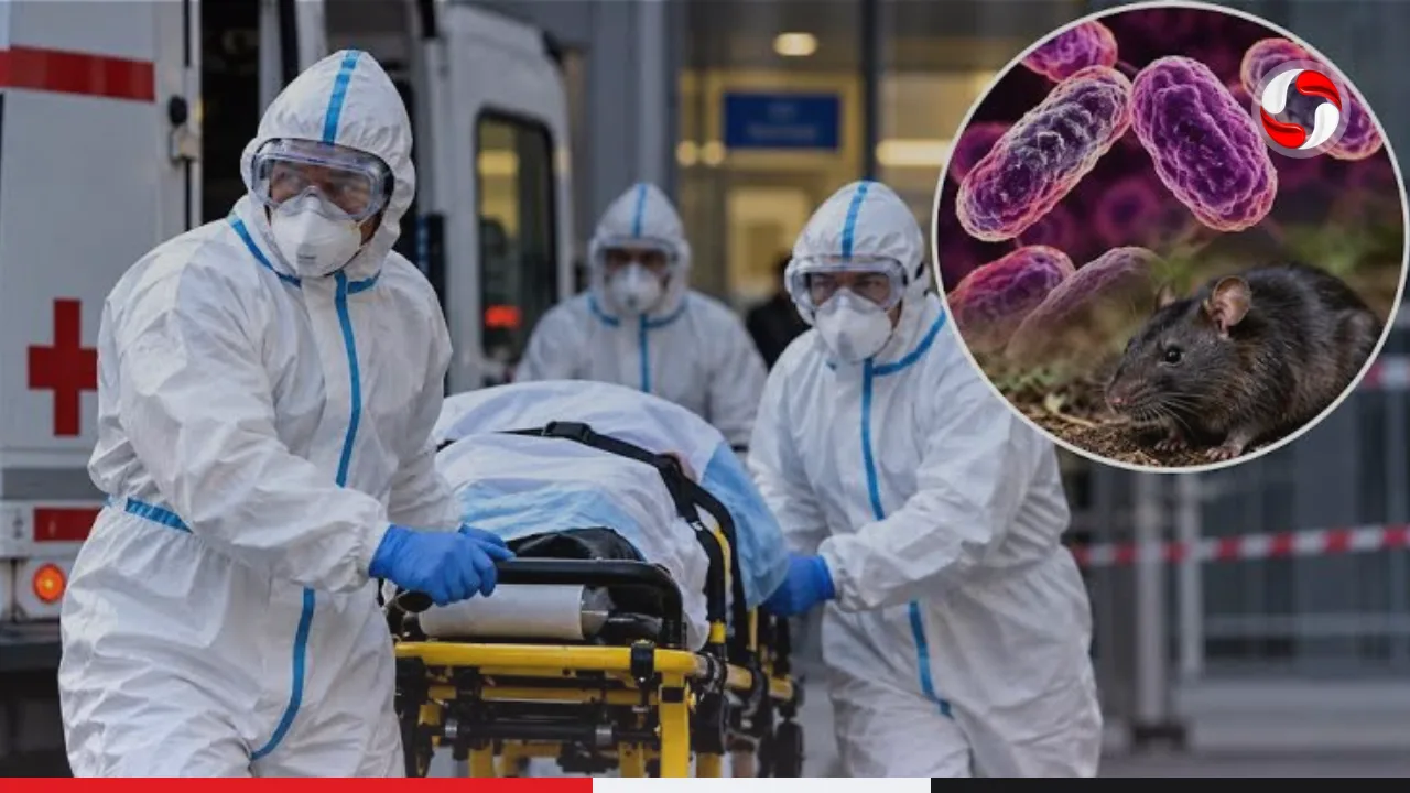 Rússia coloca dezenas de pessoas em isolamento após morte de técnica em instituto que pesquisa peste bubônica.