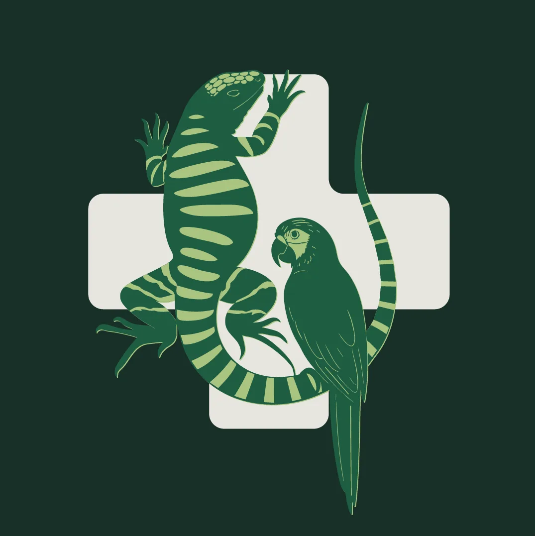 Salvator Medicina Veterinaria